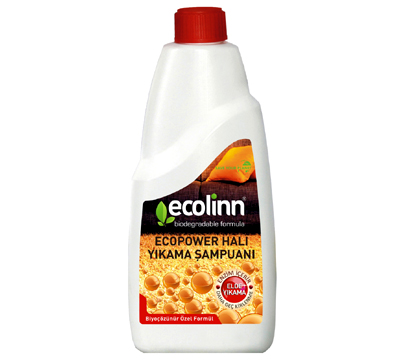 ECOPOWER HALI ŞAMPUANI (ELDE) 650 ML